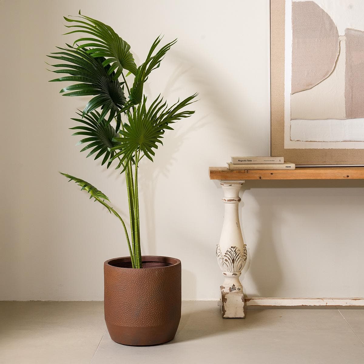 Livistonia Tree 160 Cm