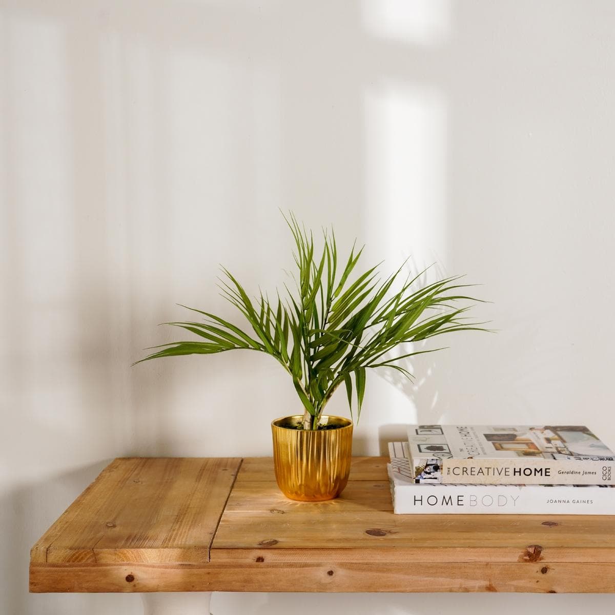 نبتة نخيل في وعاء 37 سم