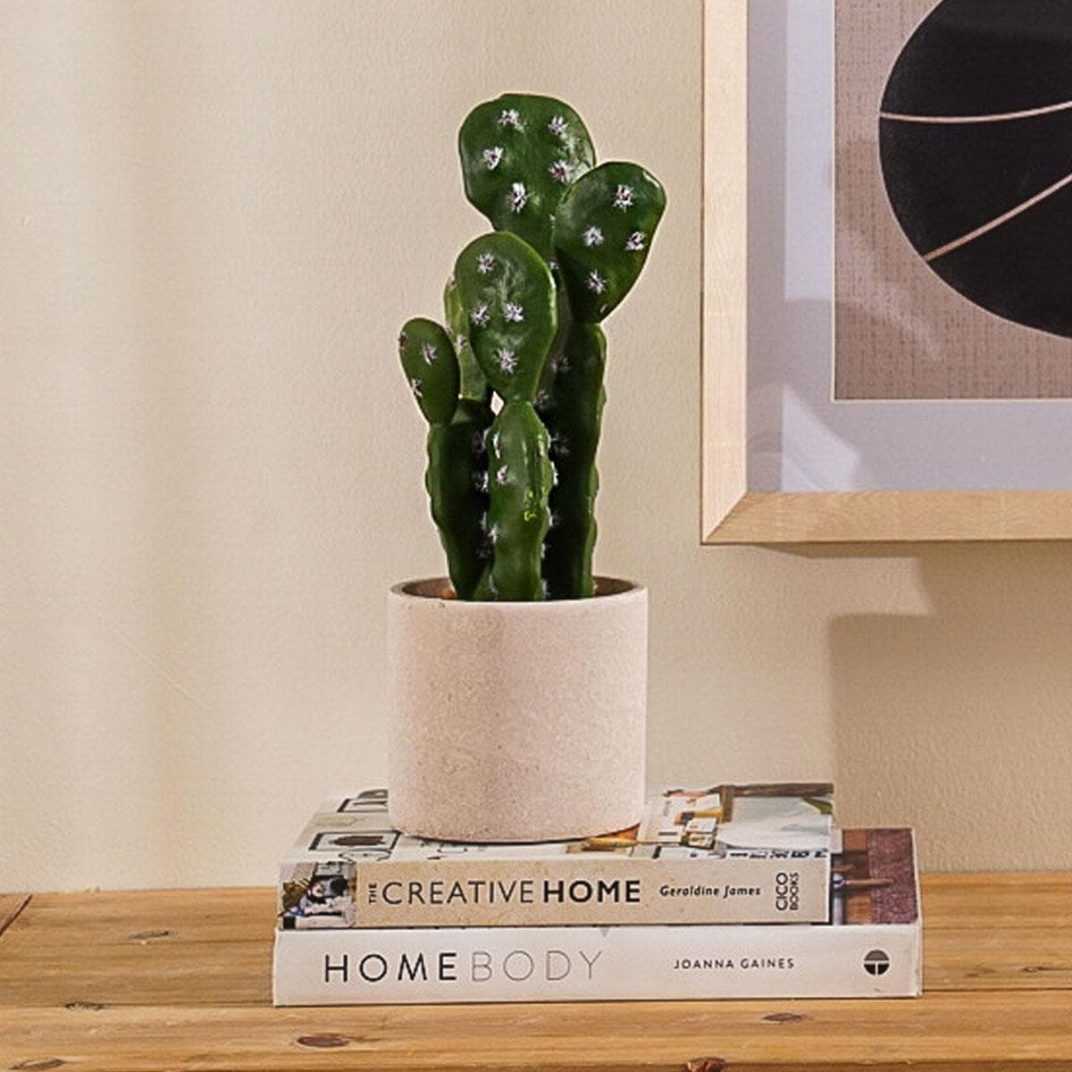 نبتة الصبار في وعاء 34 سم