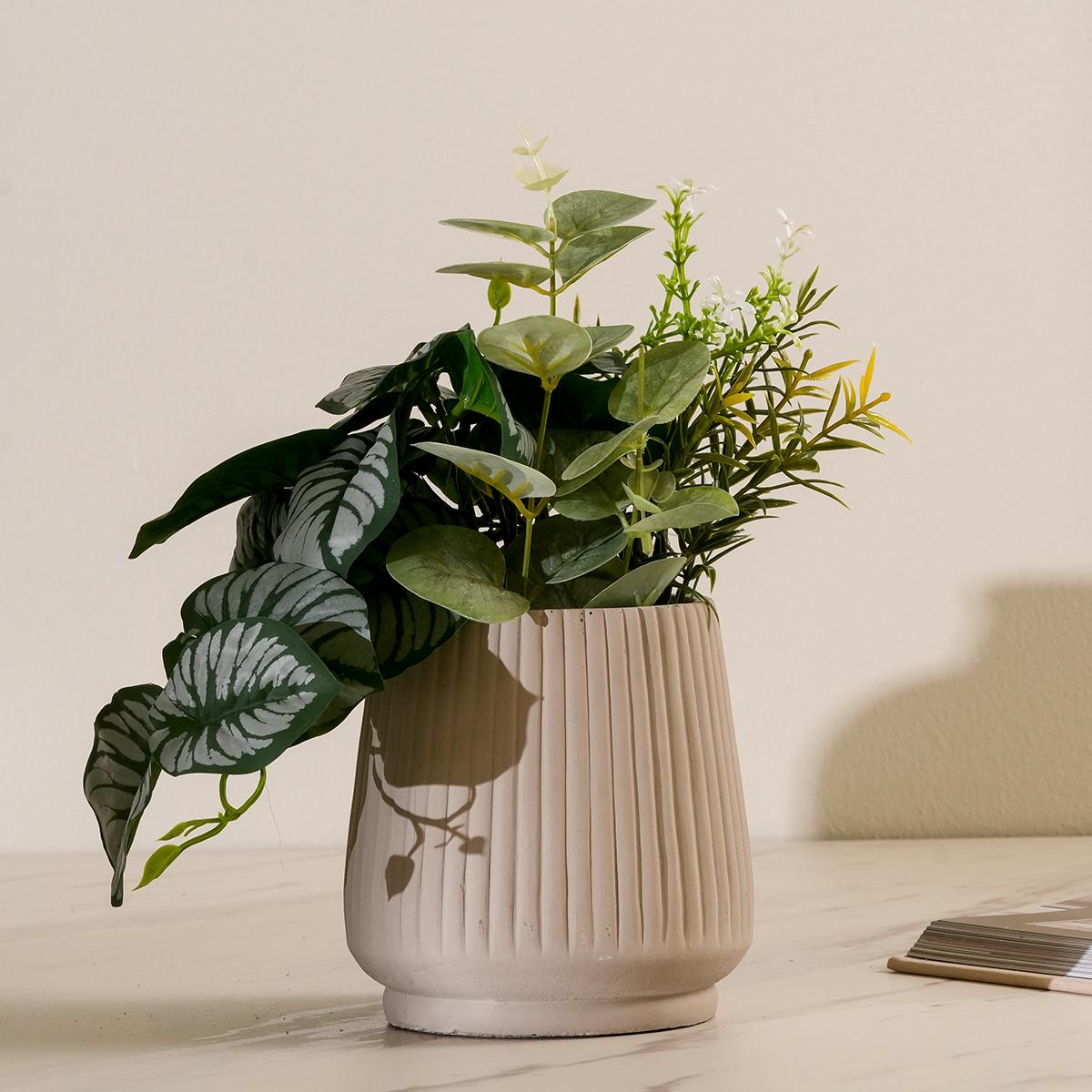 Calathea Potted Plant Green 26 cm