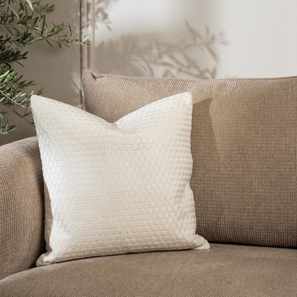 كوشيّة دول بيضاء 50×50 سم